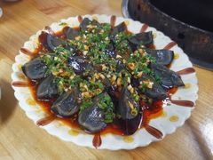 -鸿渡渔庄·特色鸭咀鱼