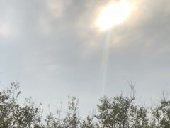 -珞珈山-售票处