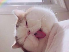 -肯德基(昌里店)