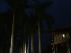 -亚龙湾红树林度假酒店御粤阁