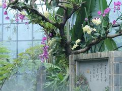 -东莞植物园
