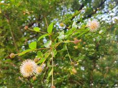 -玄武湖景区-情侣园游乐场