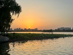 -济南大明湖景区