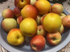 -喜家自助小火锅(乐客城店)