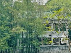 -荔湾湖公园