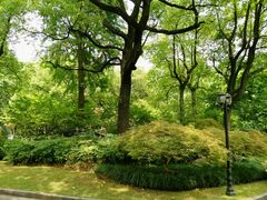 -申粤轩酒楼·三十年粤菜经典(丁香花园店)