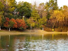 -美兰湖景区