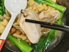 -大富蚝乌东哥饭店·石锅鱼杂·柠檬鸭(革新路店)