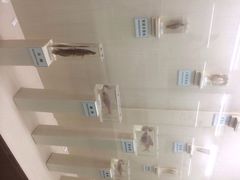 iphone_upload_pic-下渚湖国家湿地公园科普馆