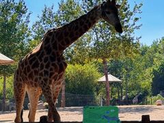 -大连森林动物园