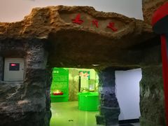 -嘉荫恐龙国家地质公园