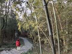 -游子山休闲旅游区