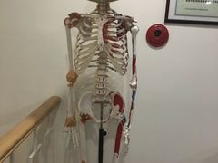 -杏林康桥中医正骨·体态矫正·跌打损伤·推拿按摩(国贸建外SOHO店)