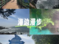 -广东惠东海龟国家级自然保护区