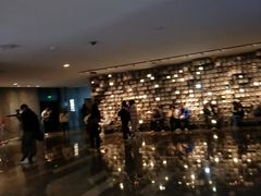 -武商摩尔影城(国广IMAX激光店)