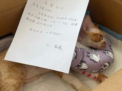 -德元·美联众合24小时动物医院(总院)