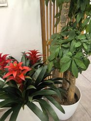 -和颜一美轻医美连锁