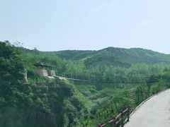 -五龙城郊森林公园