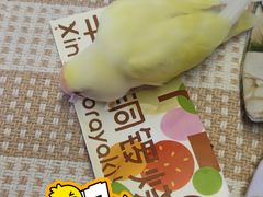 -辛一·铜锣烧(大宁久光店)