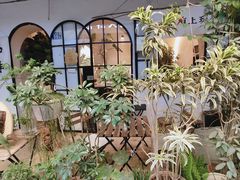 -循礼门鲜花花市(武汉循礼门店)