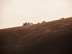 -亿利库布其七星湖沙漠生态旅游区