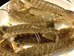皮皮虾-九月海·海鲜自助(世纪东方店)