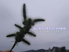 -大连北马山庄