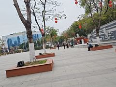 -映月湖公园