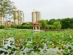-玉山公园