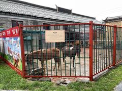 -有喜胶东小馆(太申祥和店)