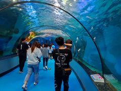 -泉城欧乐堡海洋极地世界