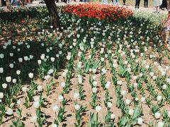 -长春公园(普阳街道)