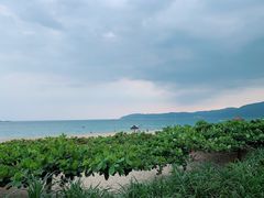 -三亚亚龙湾天域度假酒店