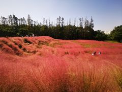 -嘉北郊野公园