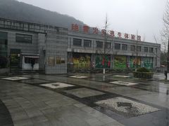 -金钉子远古世界景区