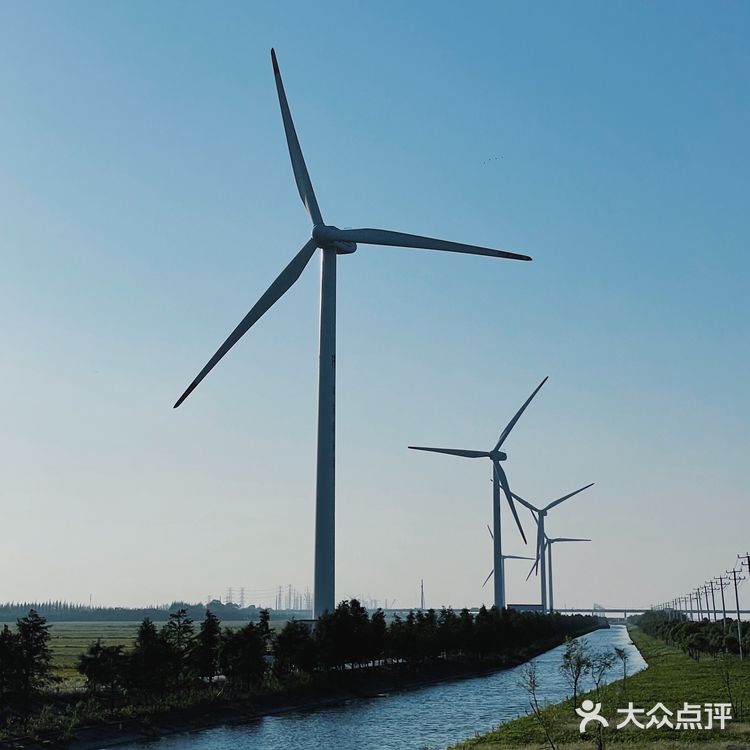 上海拍照 🛻 长兴岛丁坝《悲伤逆流成河》取景地