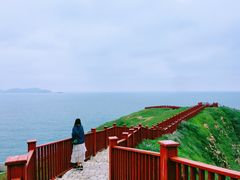 -枸杞岛