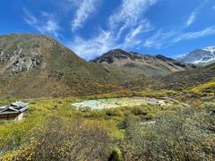 -黄龙山原始森林景区
