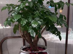 -和记小菜(名品店)