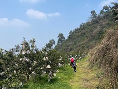 -樱桃山旅游景区