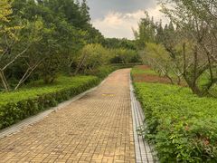 -同里国家湿地公园