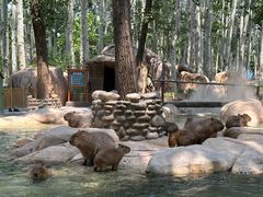 -北京野生动物园