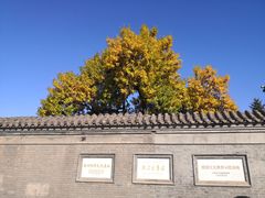 -张学良旧居陈列馆