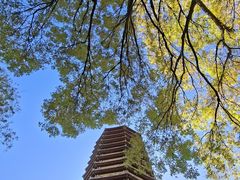 -玲珑塔公园