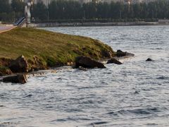 -丁香湖公园