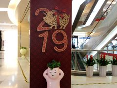 -莲花国际广场