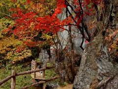 -关门山森林公园