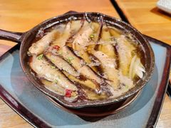 -LIBERO(张虹路店)