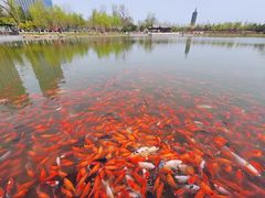 -西海子公园
