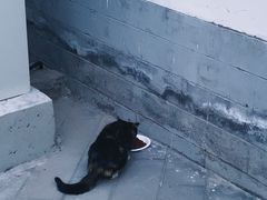 -宣武艺园